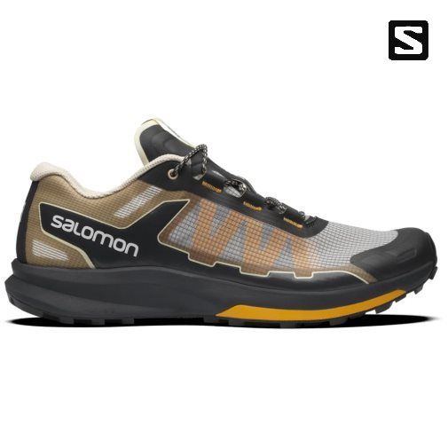 Black / Grey / Brown Salomon Ultra Raid Men's Sneakers | IE EJ9502